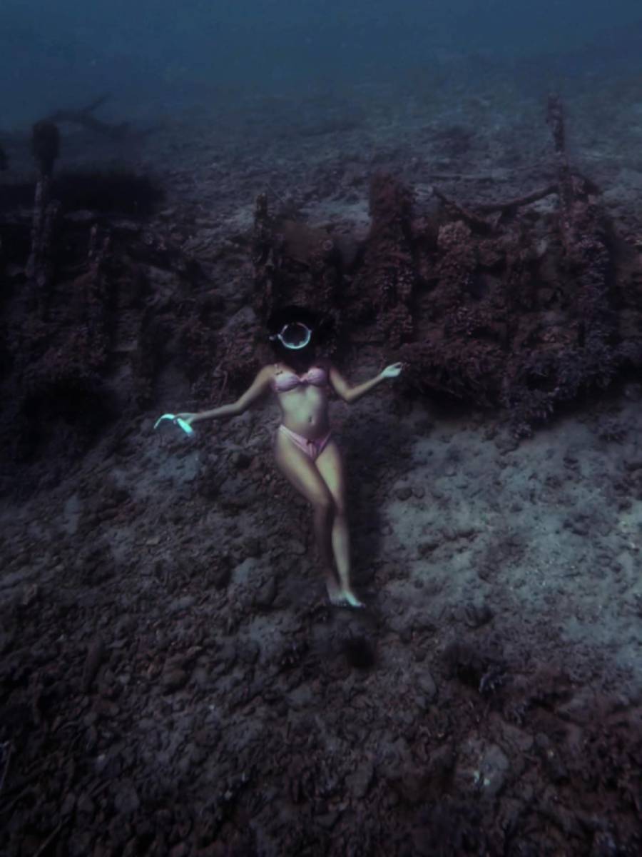 Molchanovs Wave 1 freediving certification training