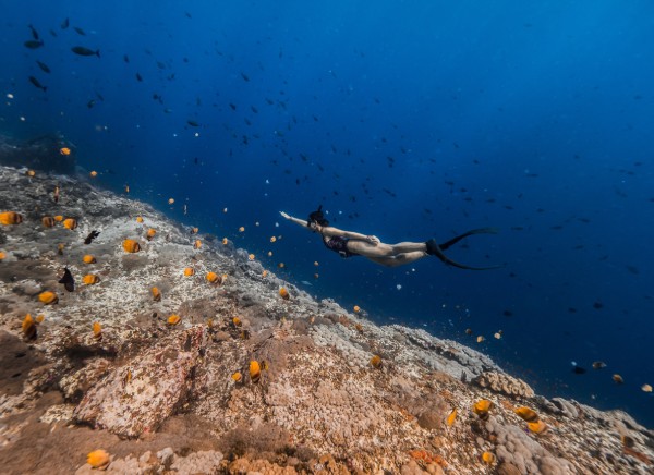 Beginner-friendly freediving class in Metro Manila and Batangas