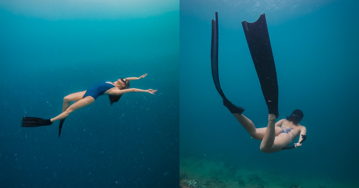 AIDA vs Molchanovs freediving certification compared